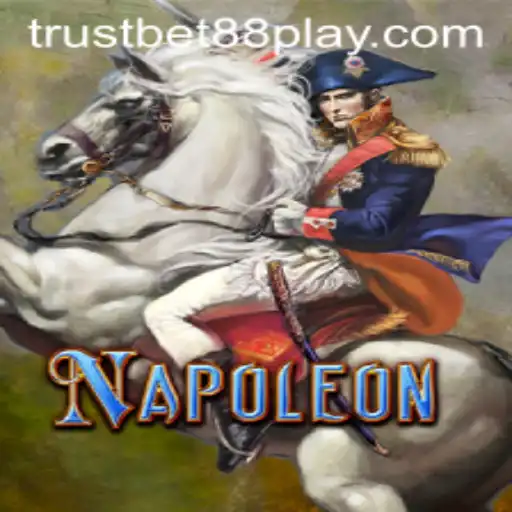 Exploring Napoleon Card Game